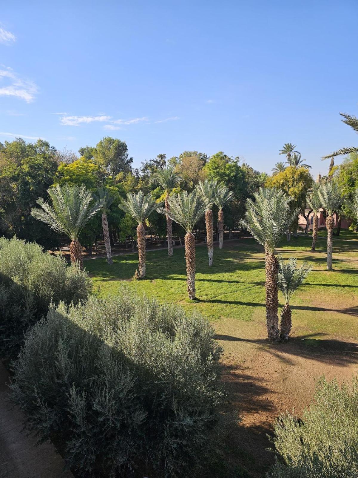 Bienvenus Dans Un Beau Nouveau Entier Marrakesh