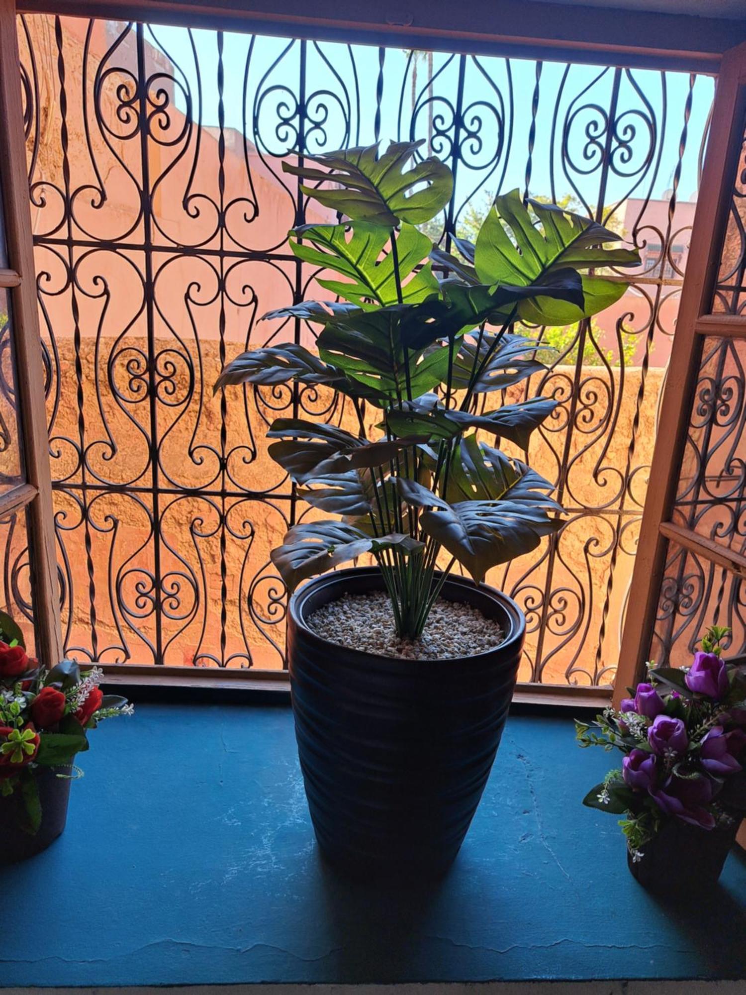 Riad Sun House