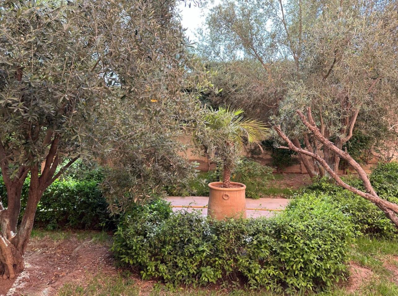 Apartment F3 Exceptionnel A Gueliz - A 5 Min De La Gare - Piscine, Wi-fi Et Parking Au Coeur De Marrakech Marrakesh