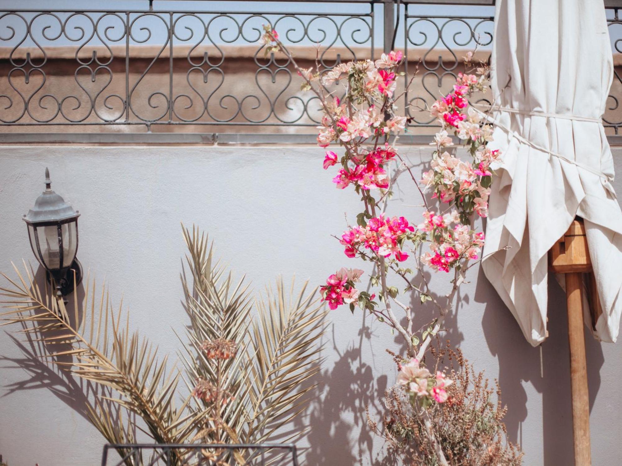 Le Petit Joyau 2* Marrakesh
