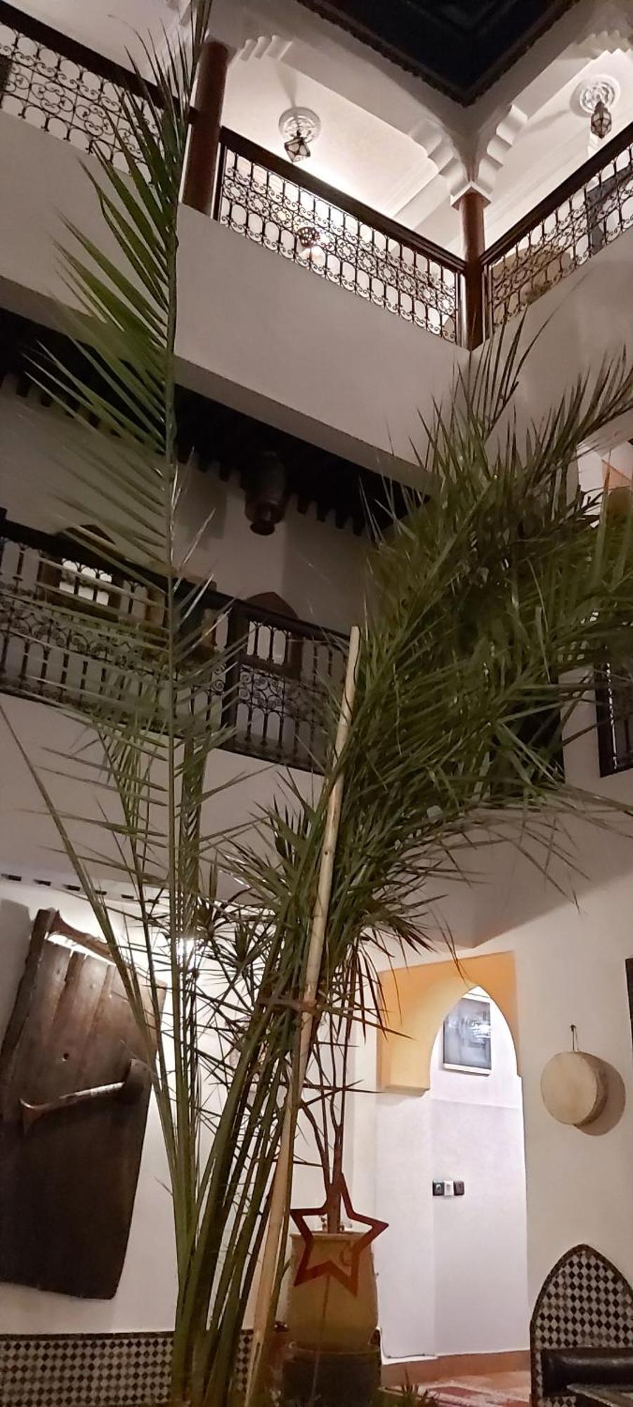 Riad Ajebel 4*