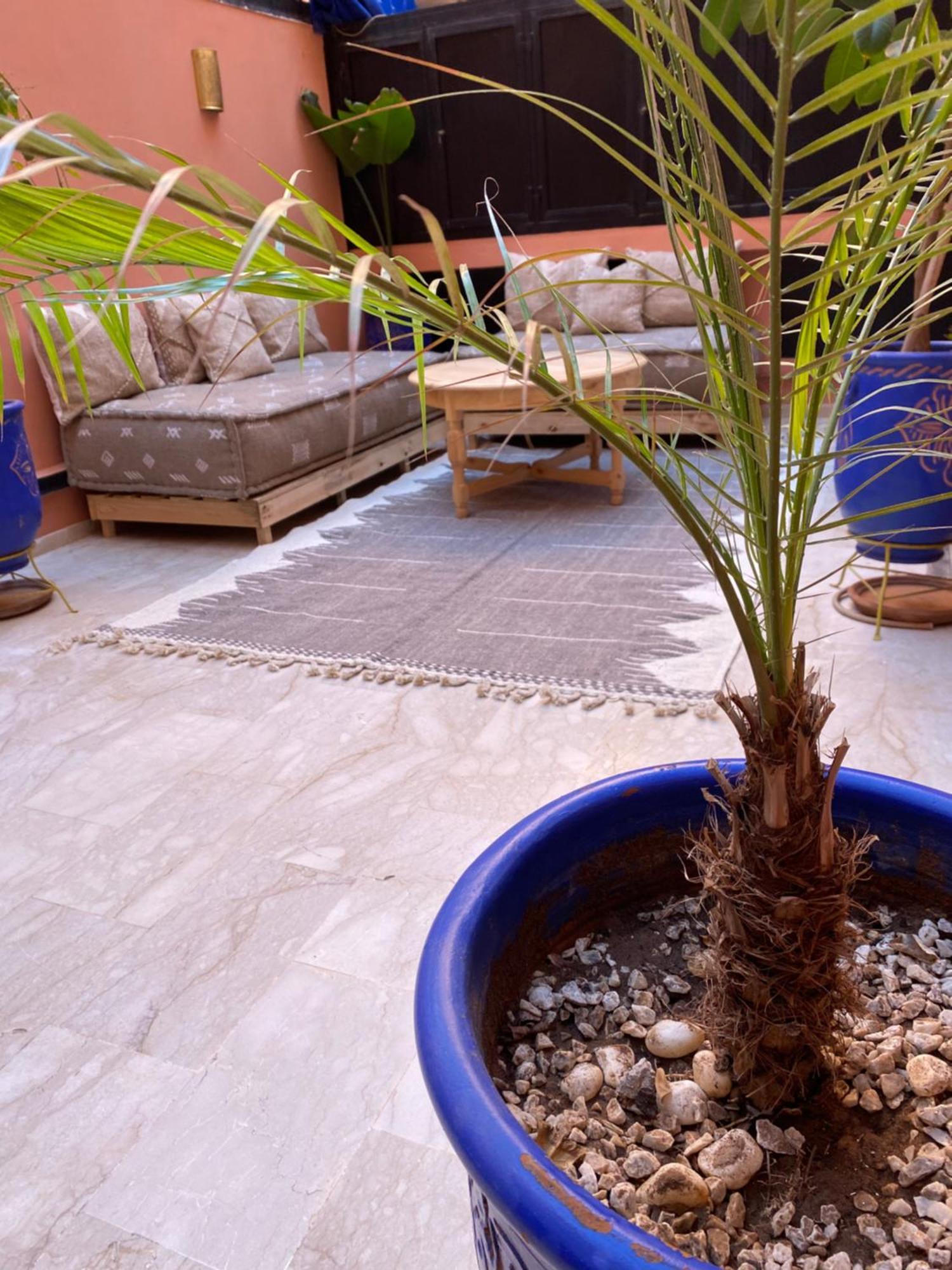 Gueliz Luxe Terrasse Apartment Marrakesh