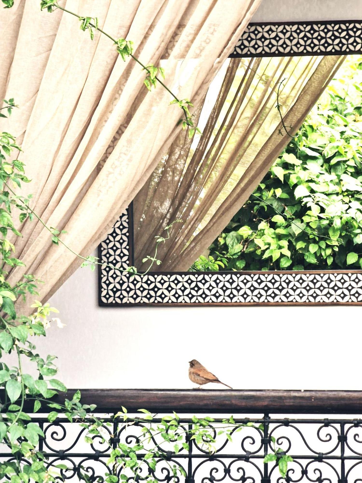 Dar El Mahja Bed & Breakfast