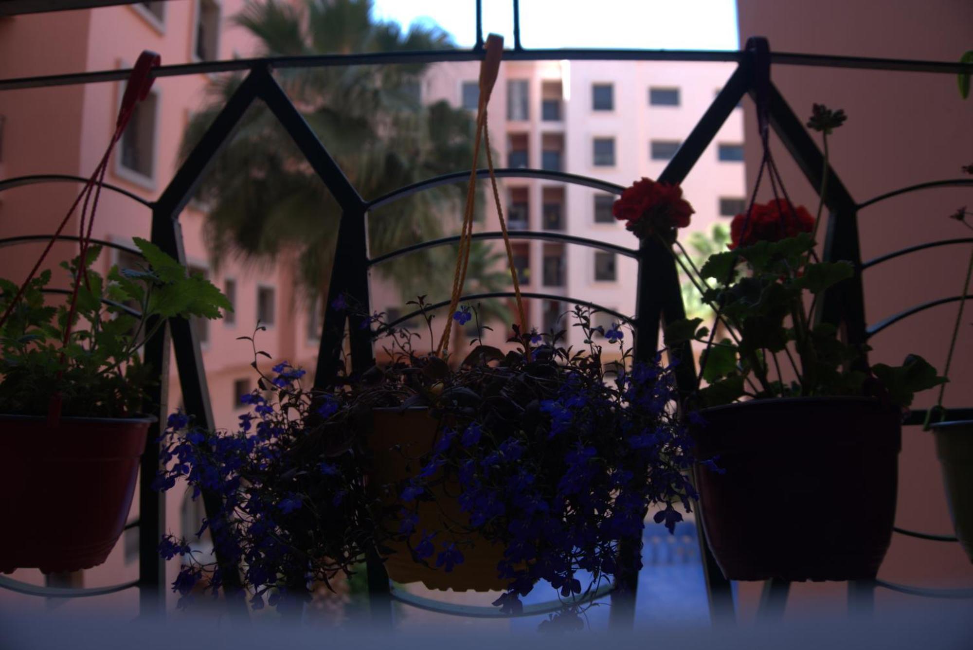 Apartment Dar Lakbira In Gueliz With Pool Marrakesh