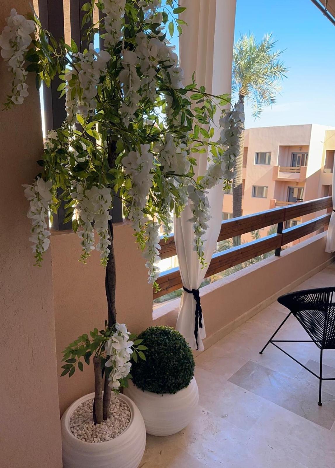 Apartment Prestige Cocon