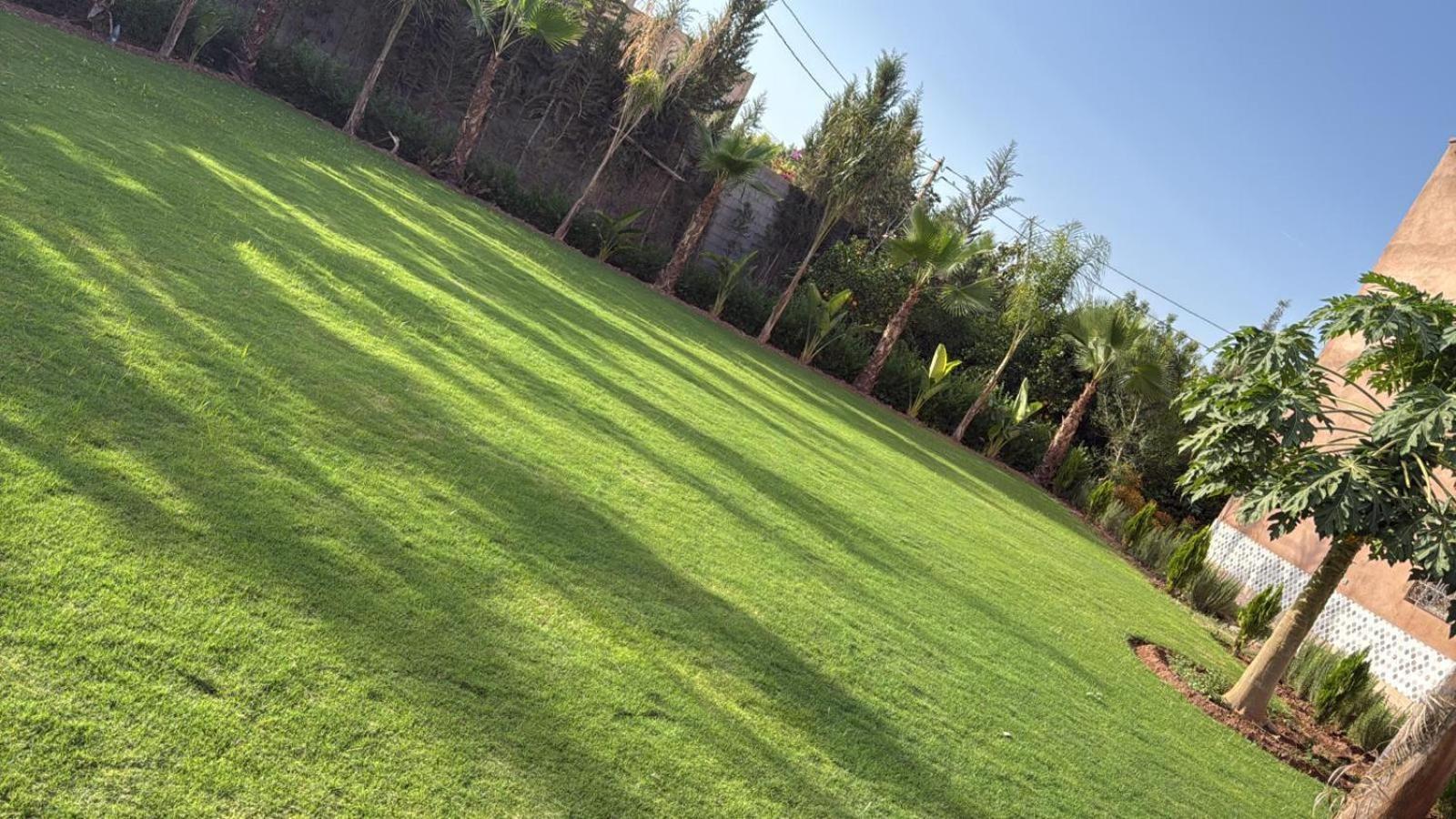 Standig 2000 M2 * Marrakesh