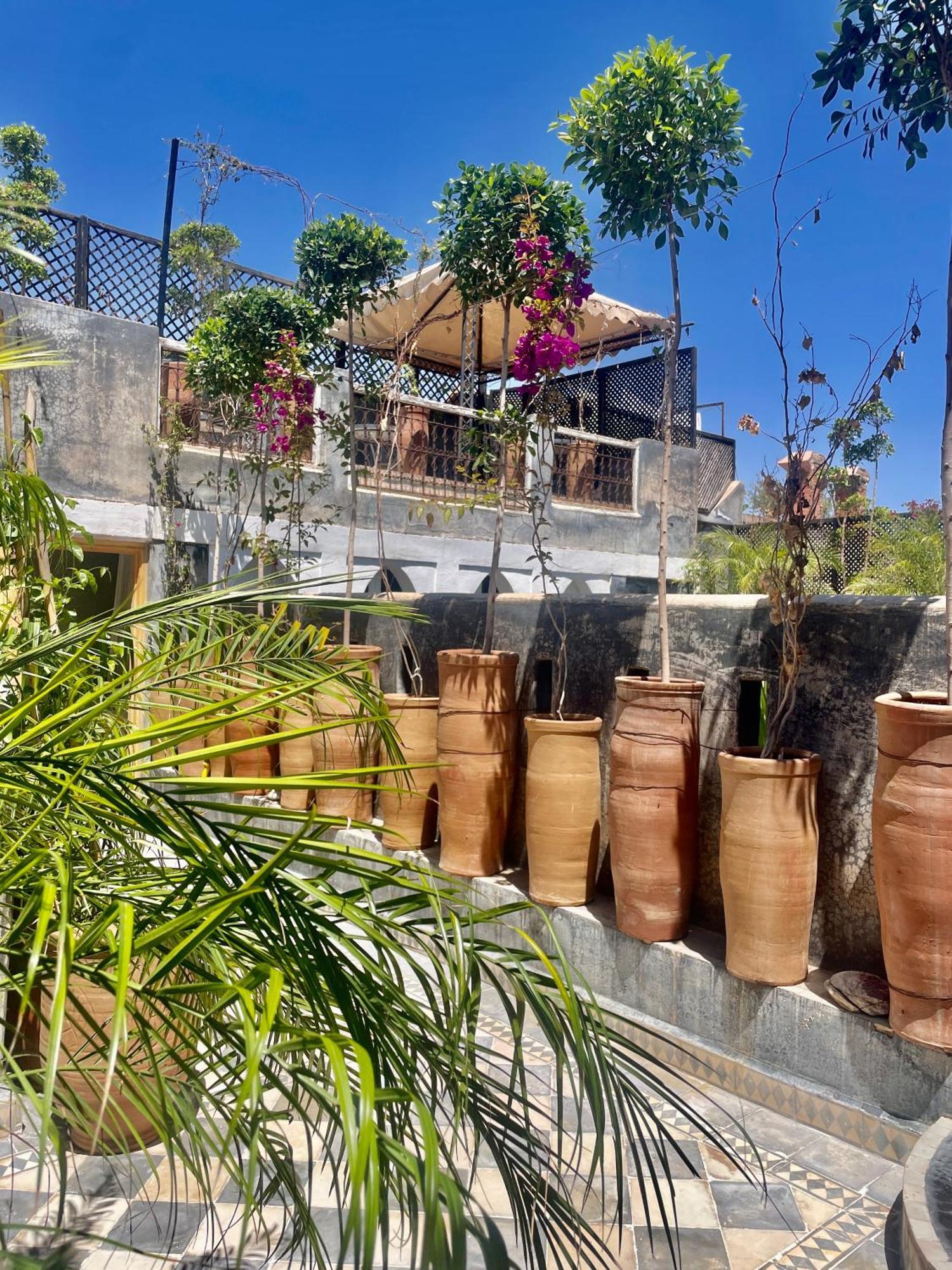 Palm Guest house *