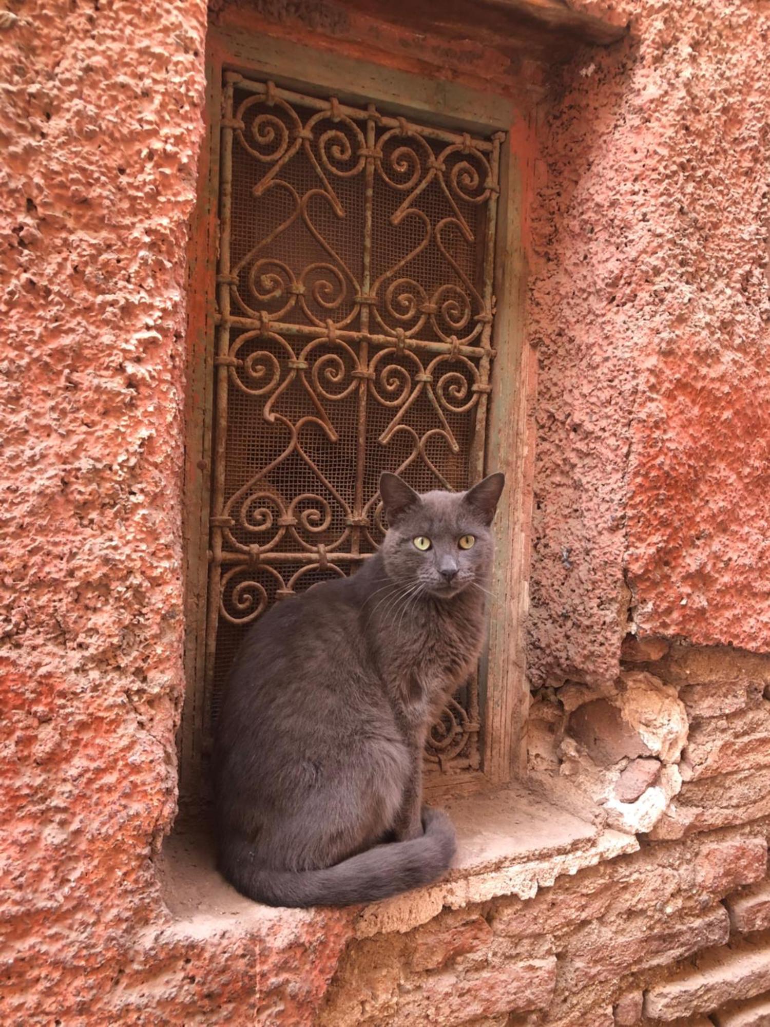 Abbassia Marrakech Premiere Riad *