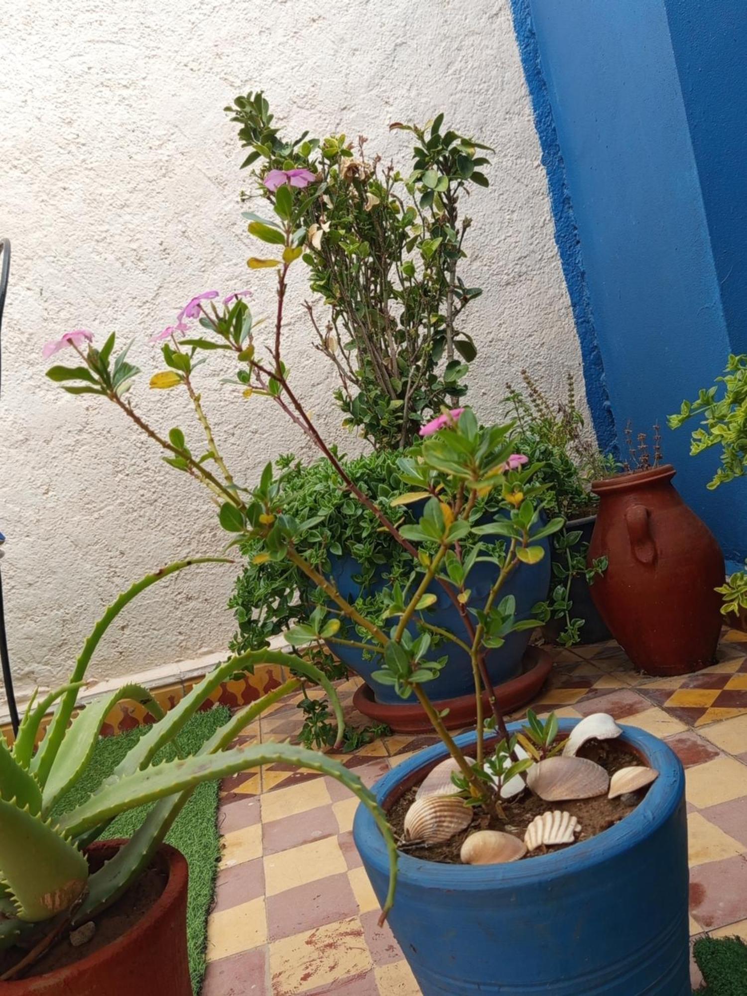 Homestay Derb El Aarsa Marrakesh