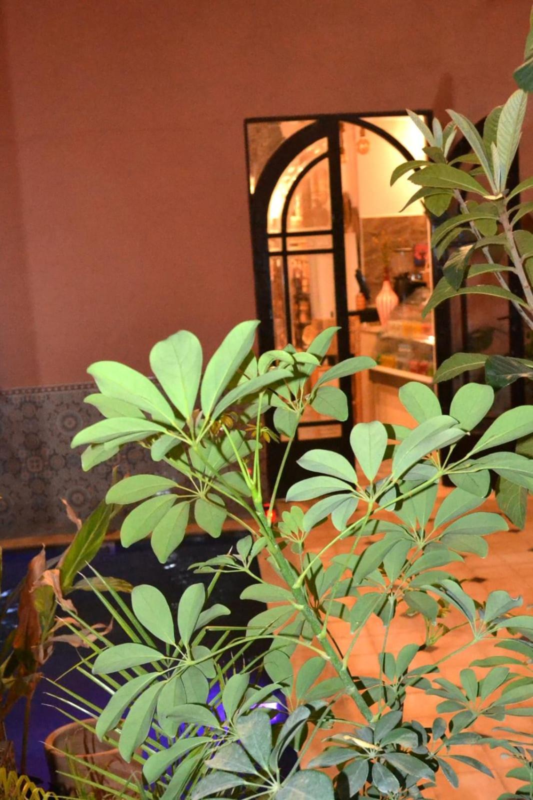 Acomodação com café da manhã  The Old House *