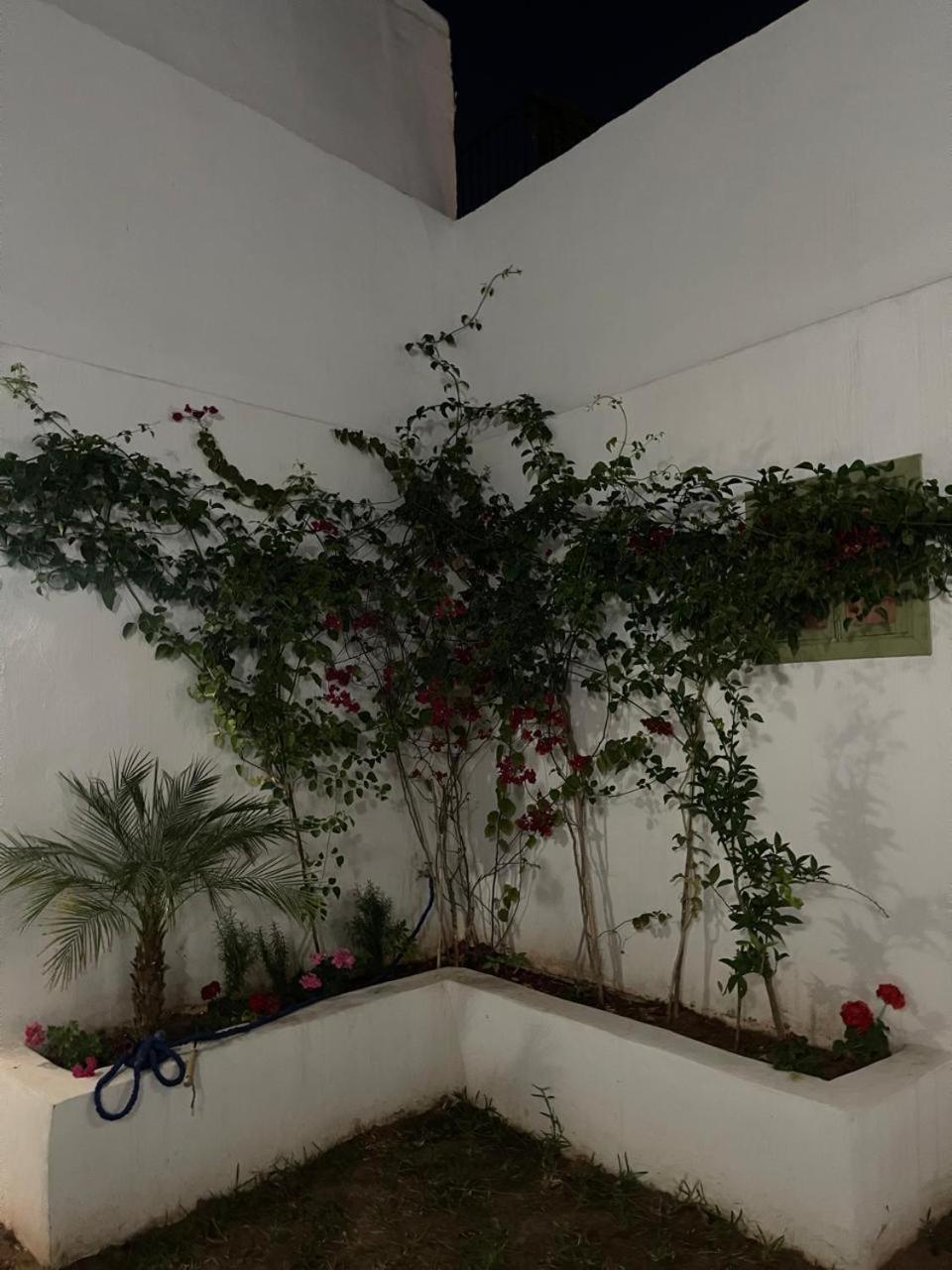 De Luxe Pama Holiday home Marrakesh