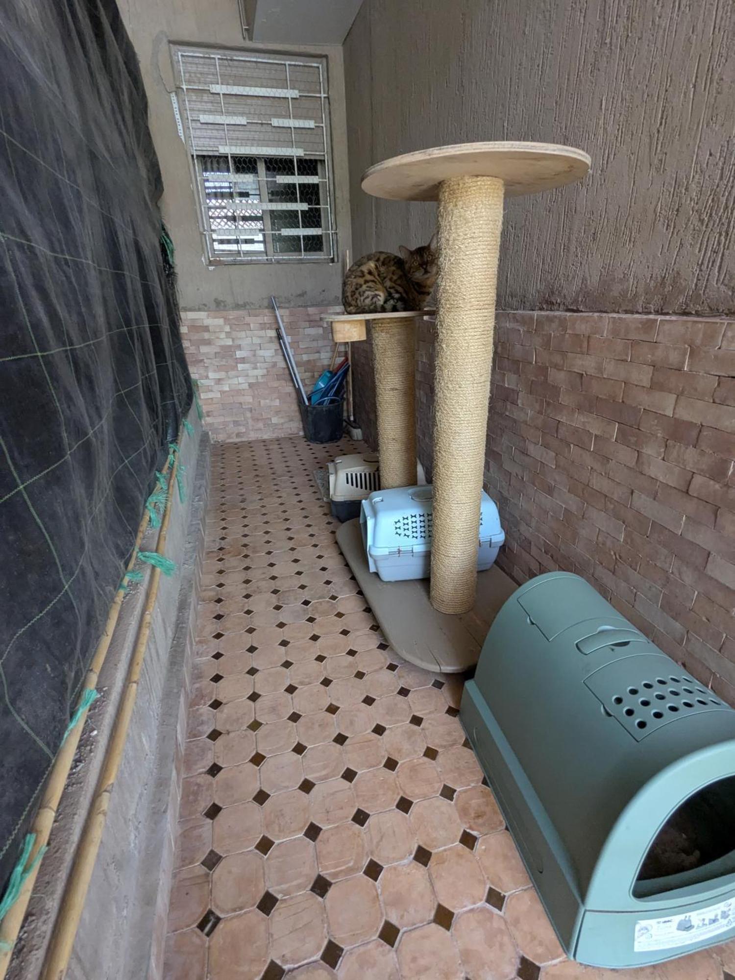 Apartment Dar Saida *