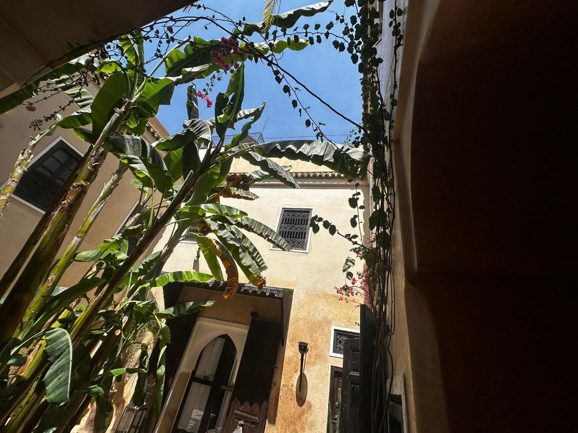 Riad Bamileke