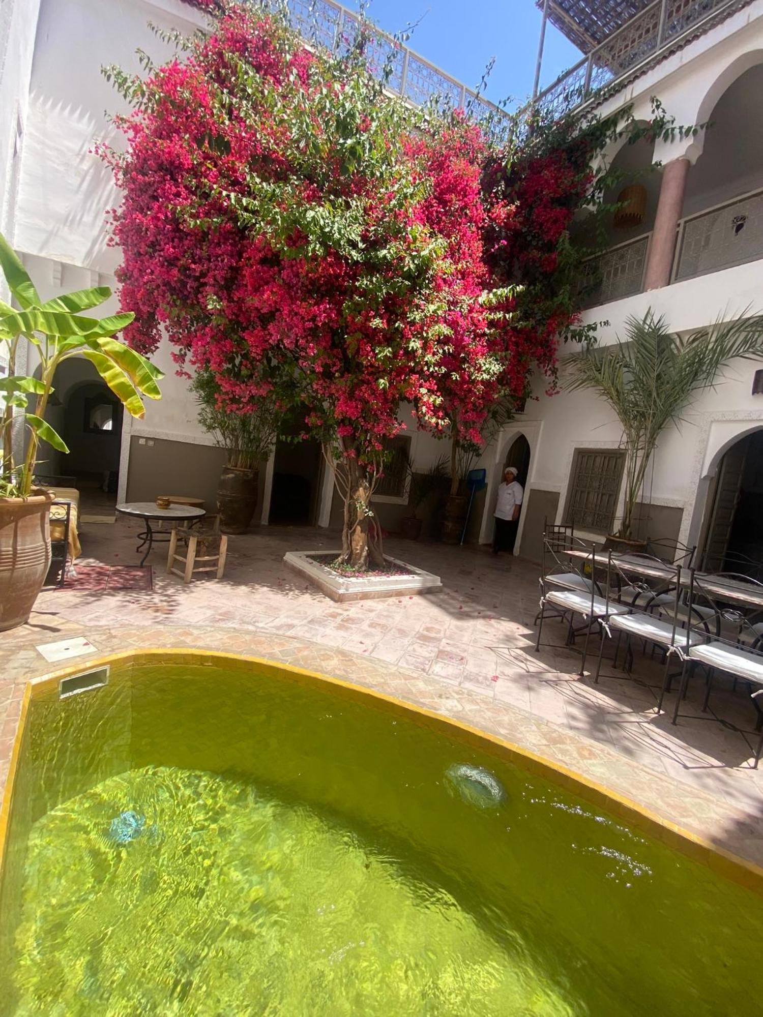 Private House Arlette Exclusive *
