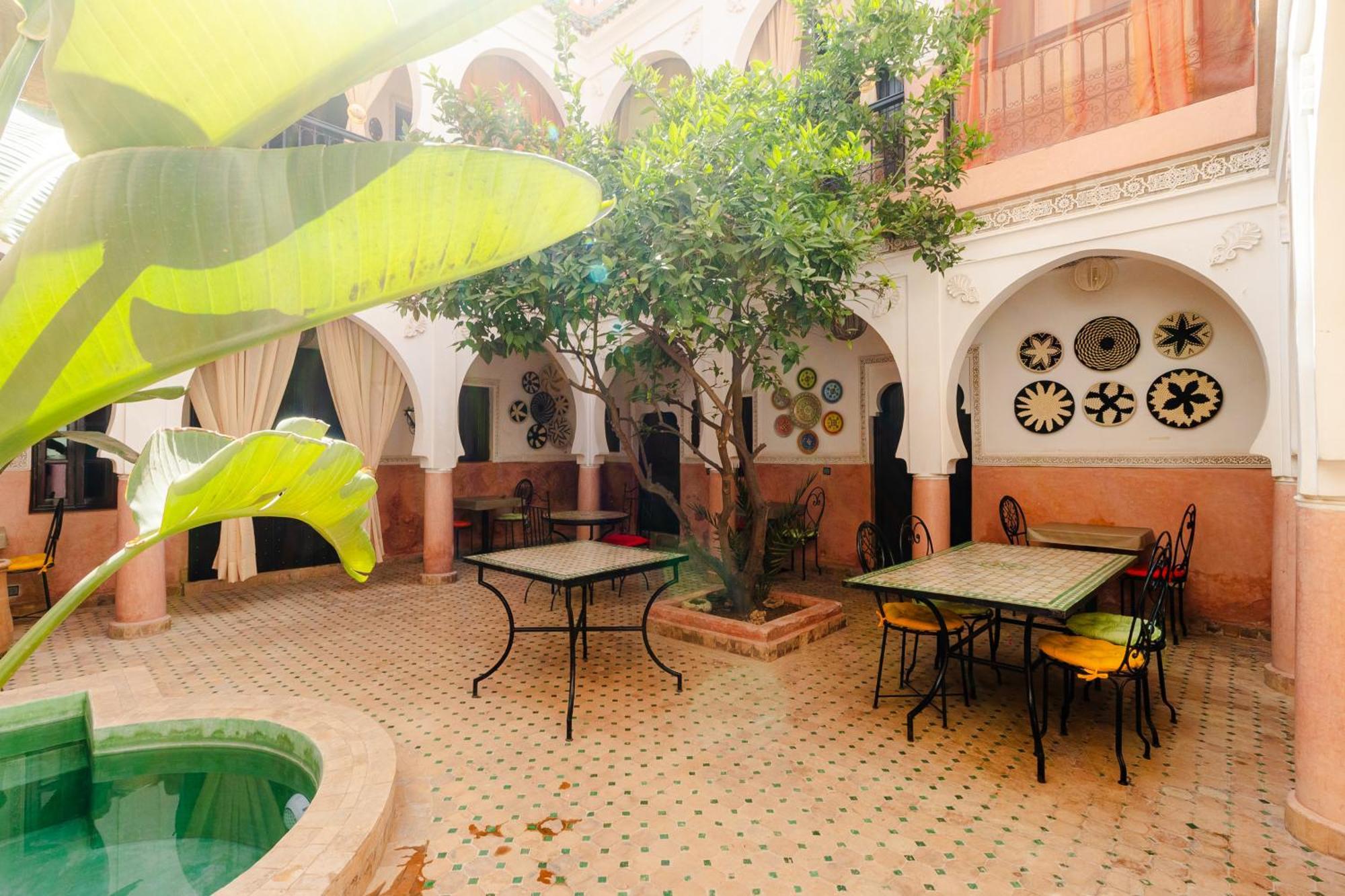 Davina * Marrakesh