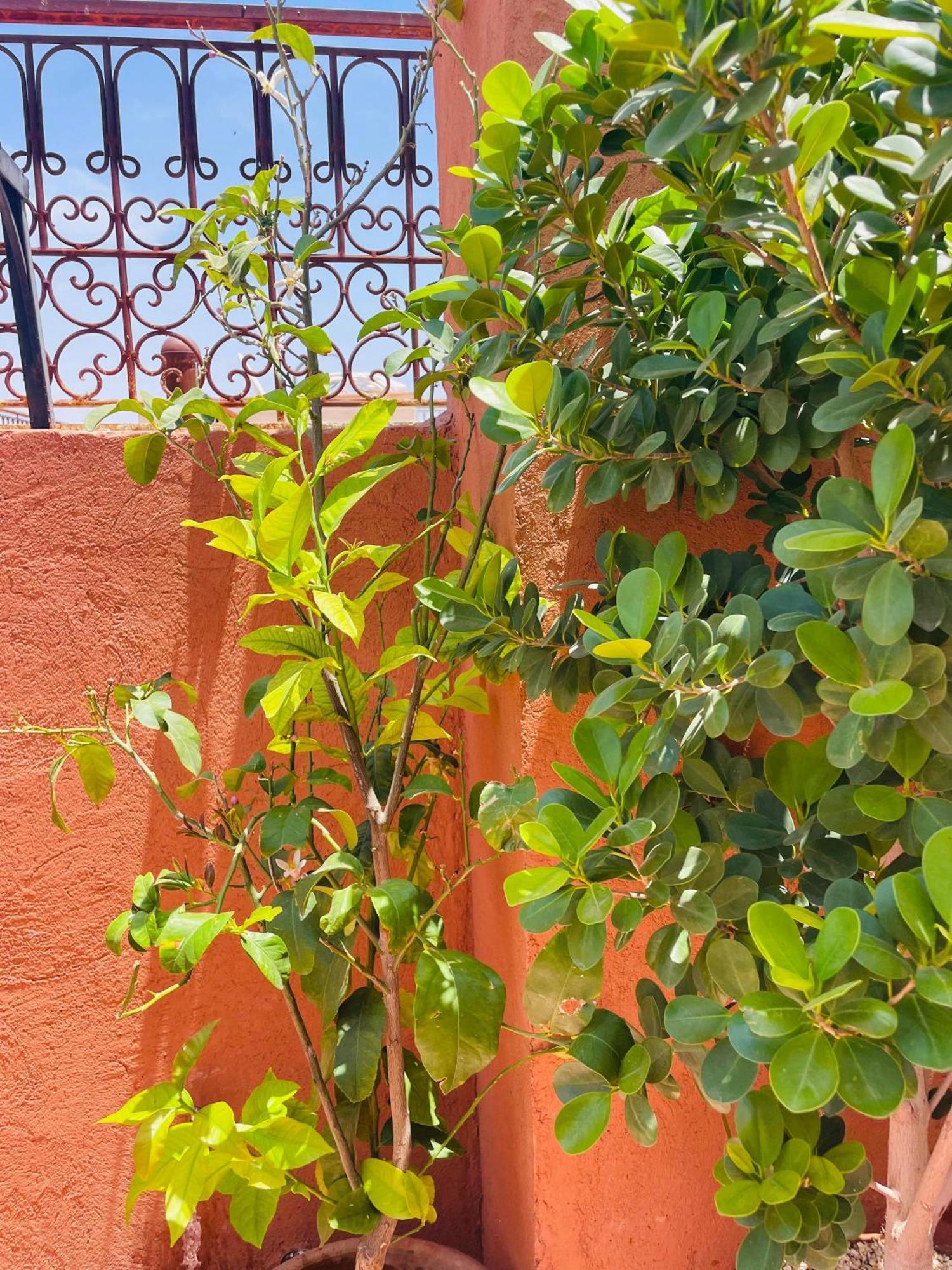 Appartement Ms Holiday’s Privatisé 8 Personnes - Avec Terrasse *