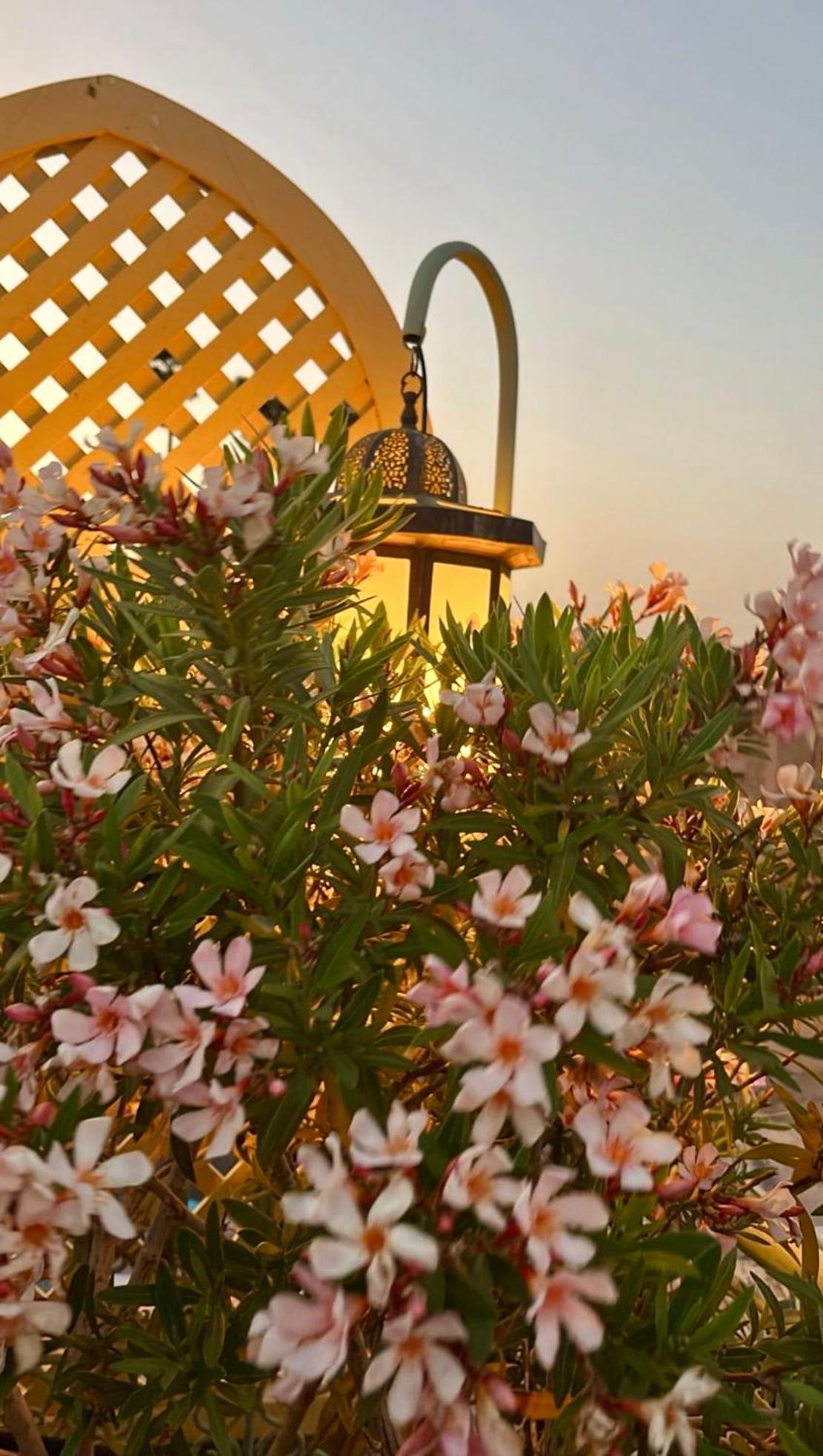Zouhour Guest house 3*