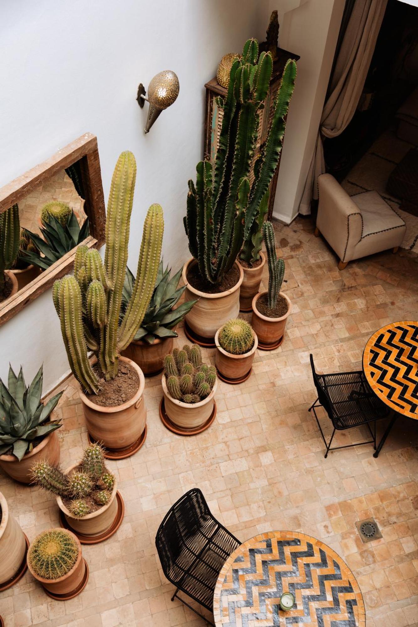 Riad Instant T Marrakesh