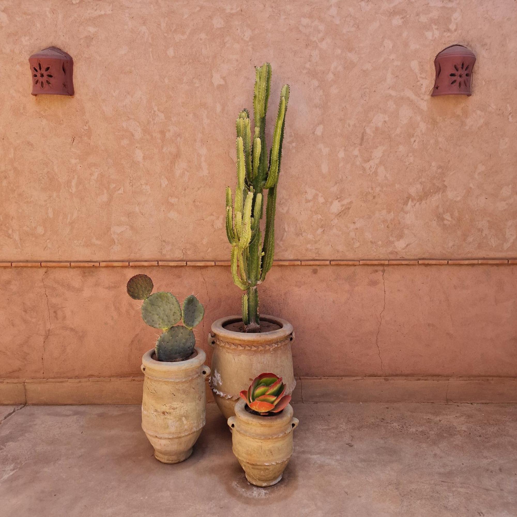 Dar 55 - Berber House