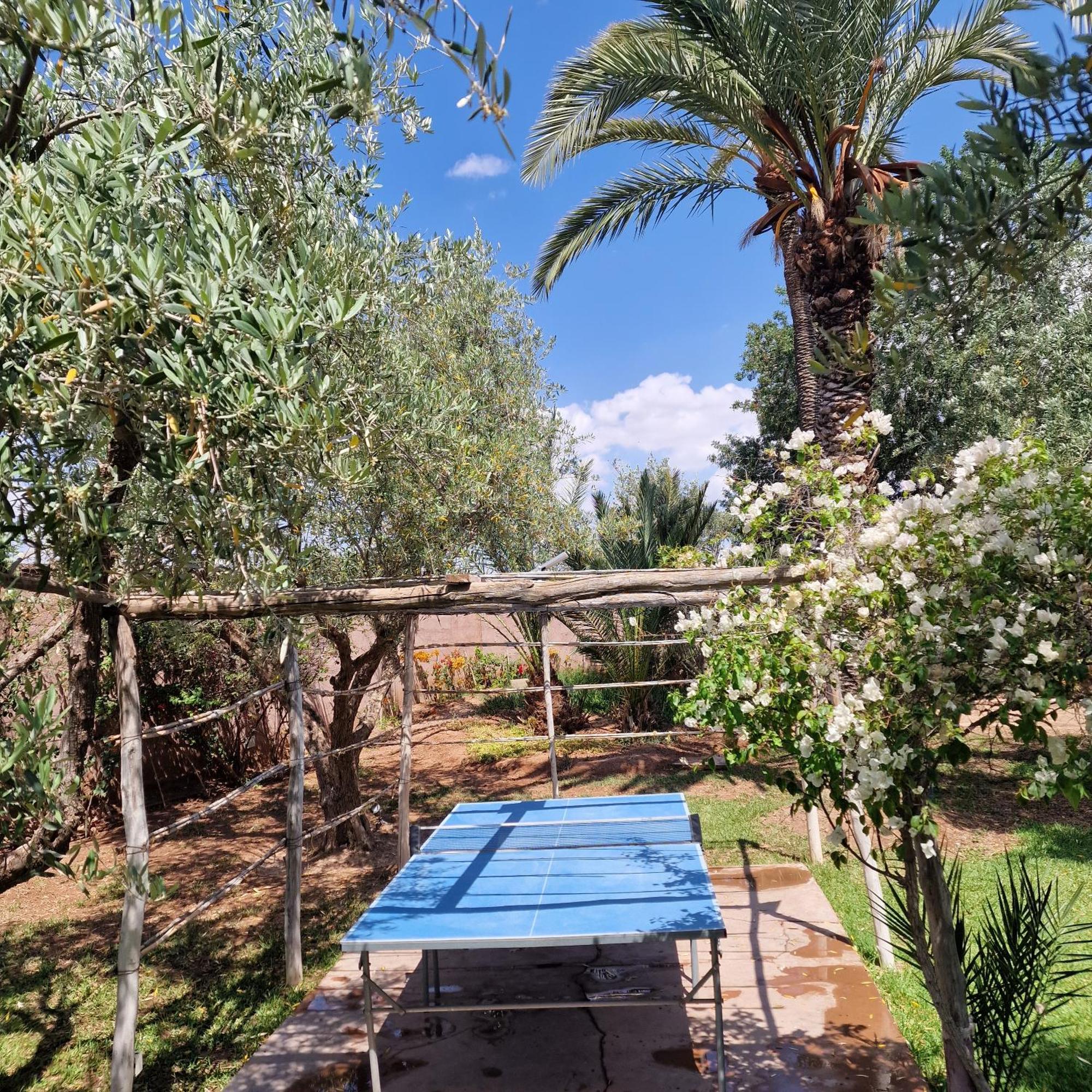 Dar 55 - Berber House 4*