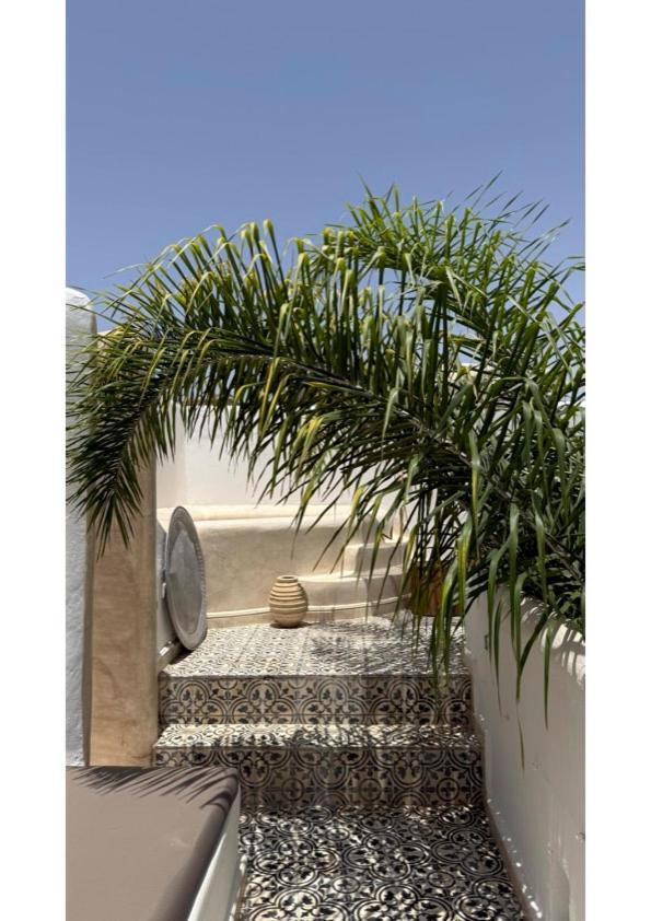 Shiraz Marrakesh