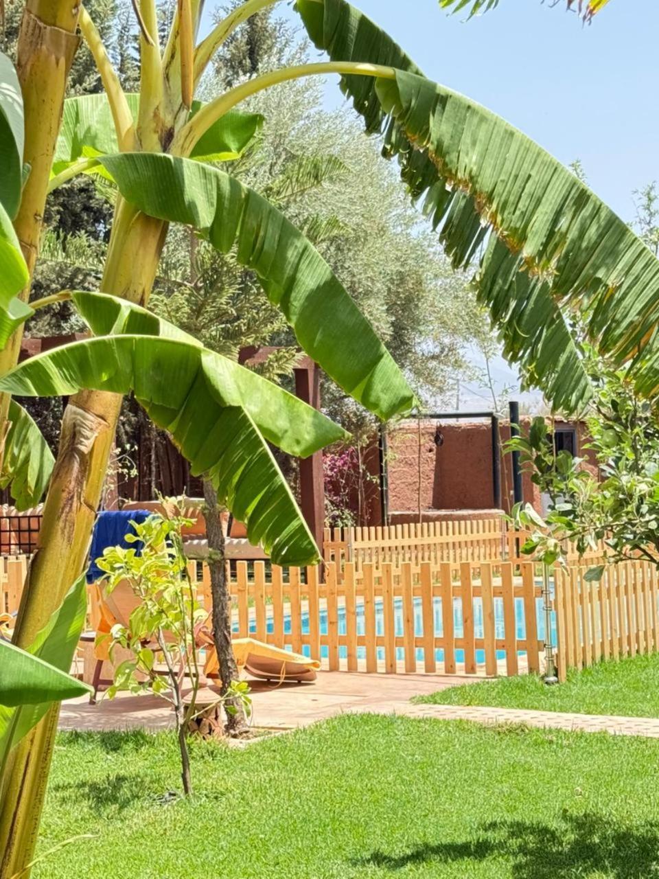 Pousada Ilafe Farmhouse, Avec Piscine Chauffee Privee Et Jacuzzi Pour Familles *