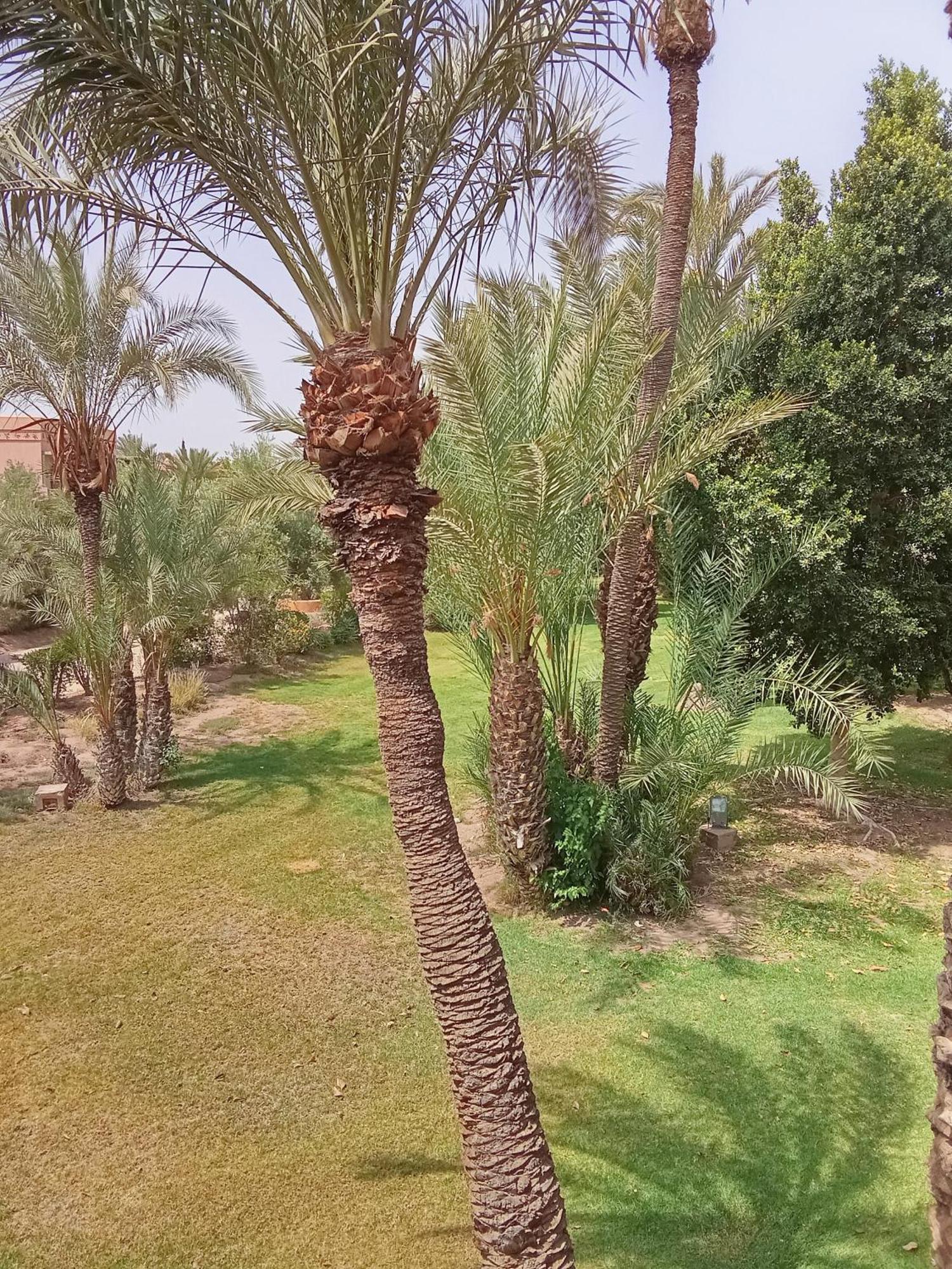Abirkech Marrakesh