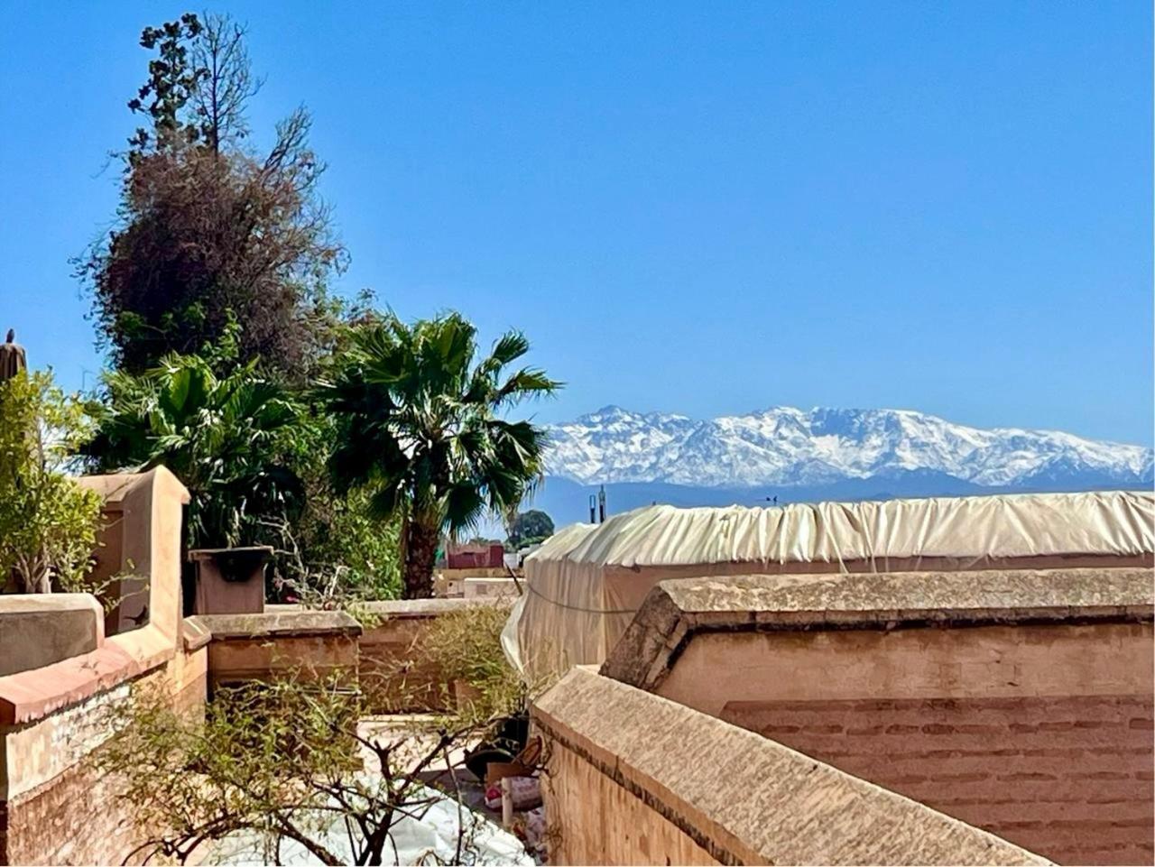 Ecila Riad