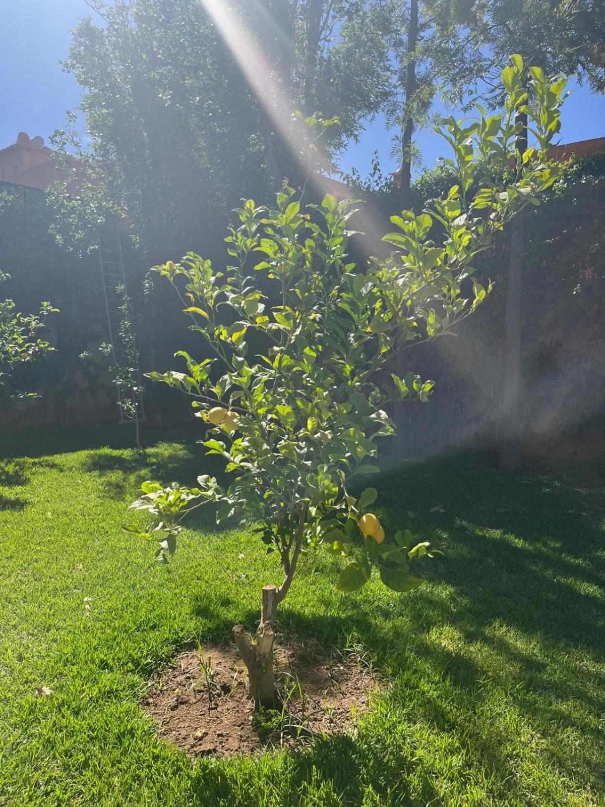 Villa Apricot - Golf Amelkis *