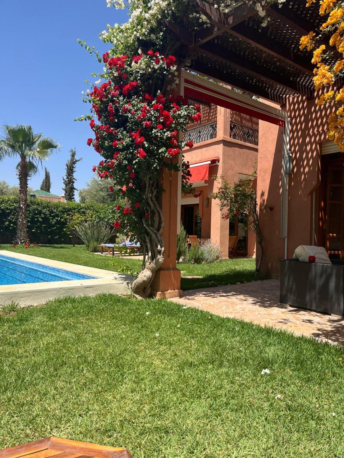 Apricot - Golf Amelkis Marrakesh