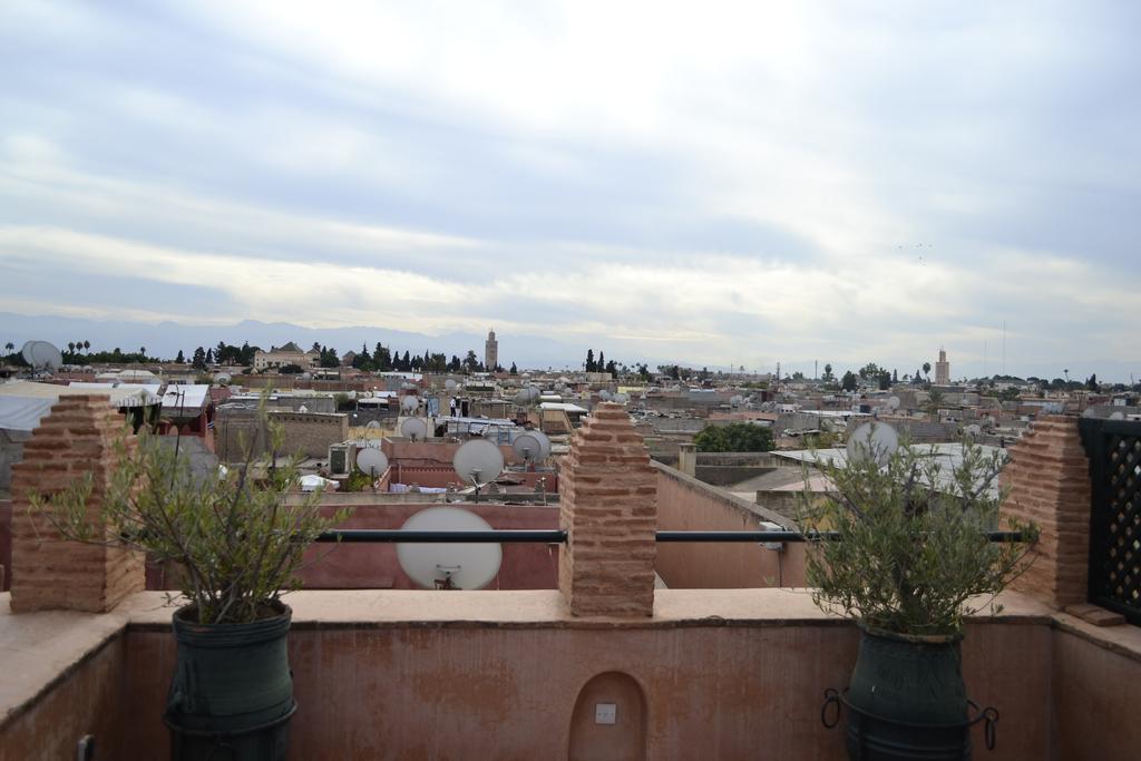 Charik Riad 3*