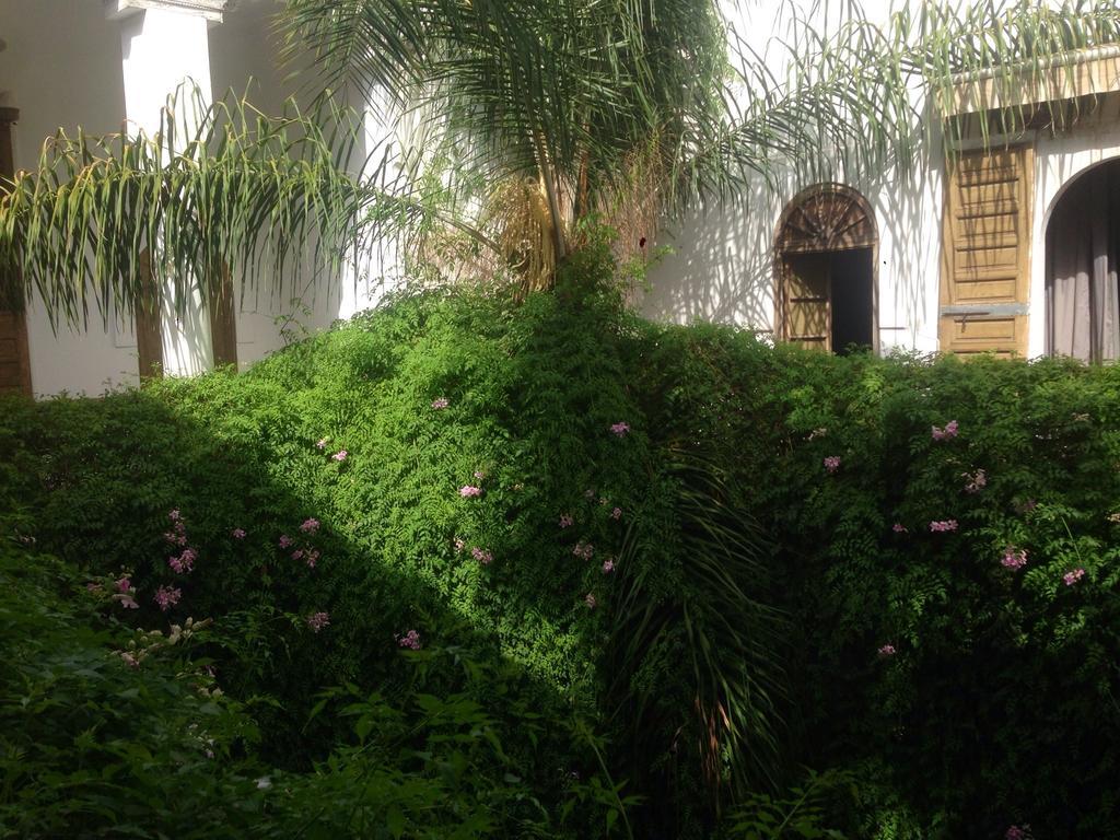 Guest house Al Assala 4*
