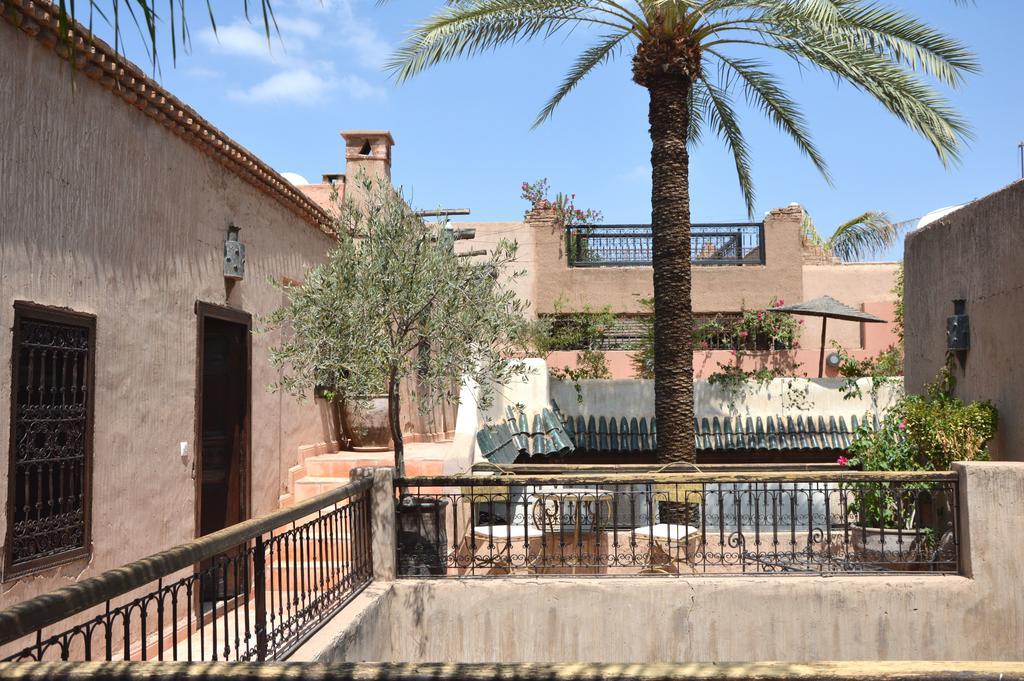 Palmier (adults Only) Riad