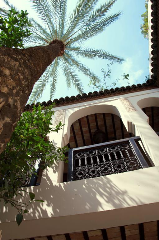 Palmier (adults Only) Riad 2*