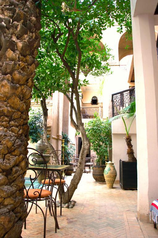Riad Palmier (adults Only)