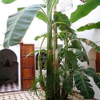 Johana Hotel Marrakesh