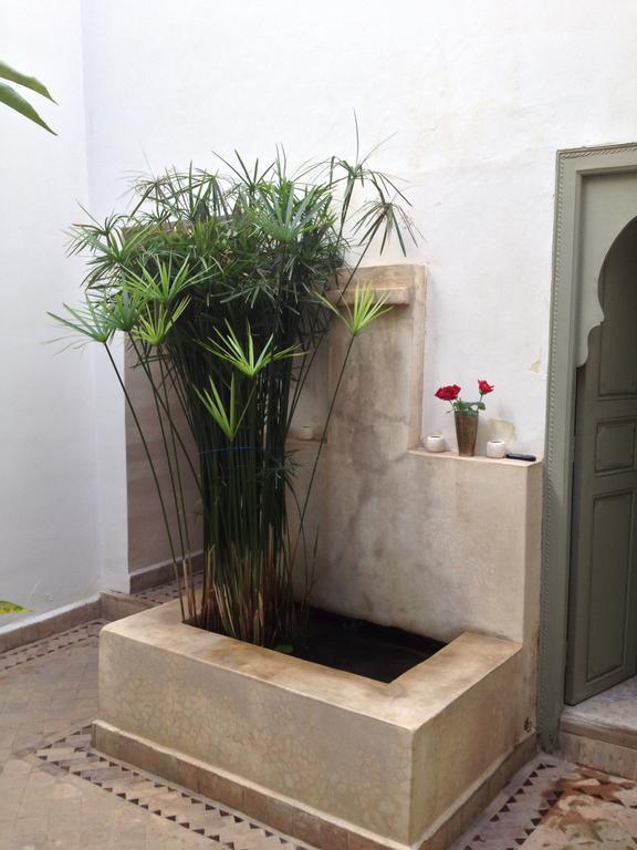 Riad Timila