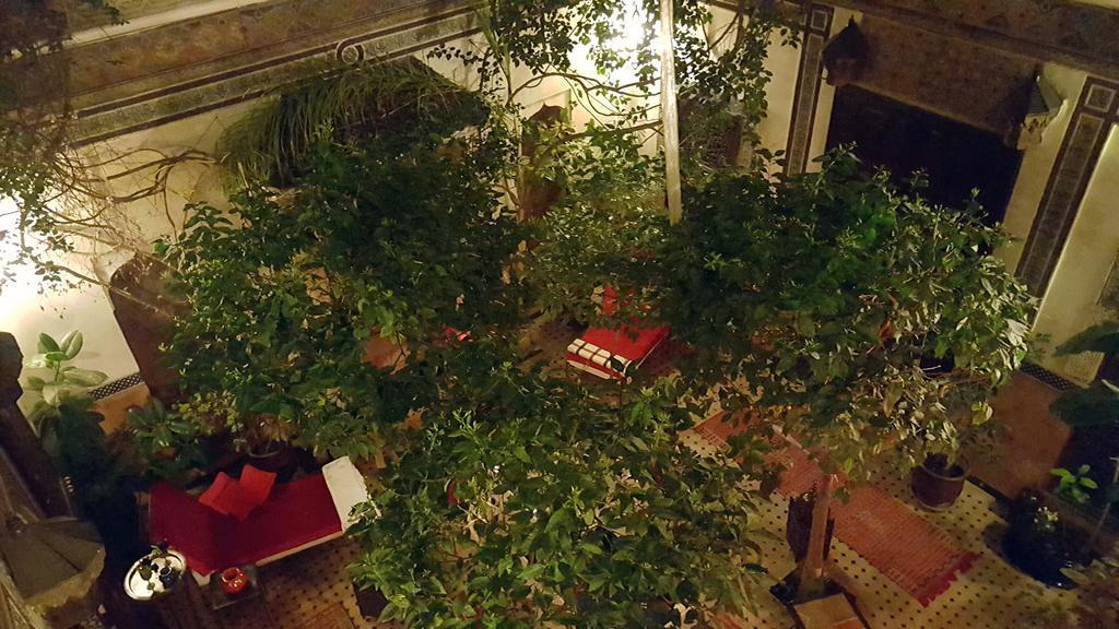 Riad Jenaï L'authentique Marrakesh