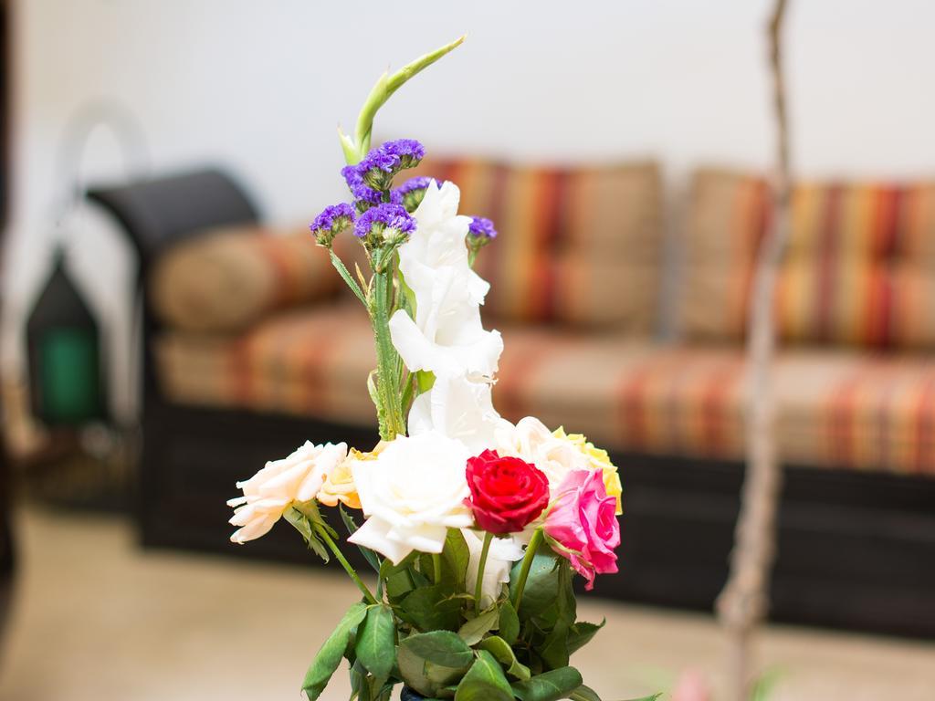 Dar Shana Bed & Breakfast 3*