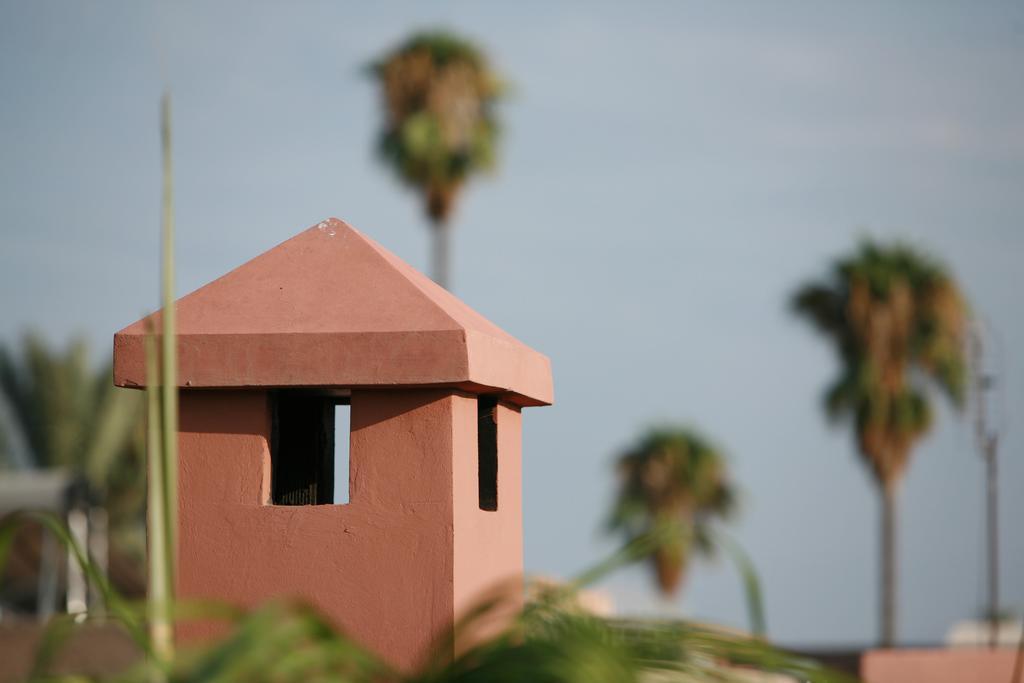 Mariana Marrakesh