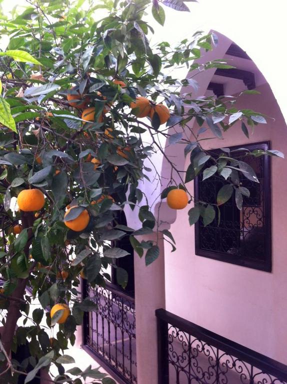 Le Bel Oranger Riad 3*