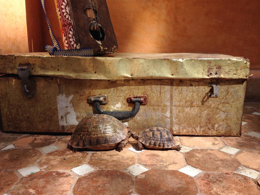 Jardin Secret 2* Marrakesh