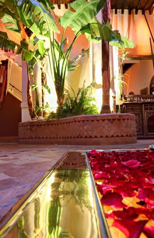 Jona Riad Marrakesh