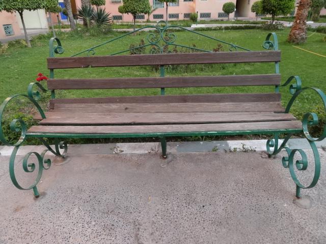 Manis Set In A Area * Marrakesh