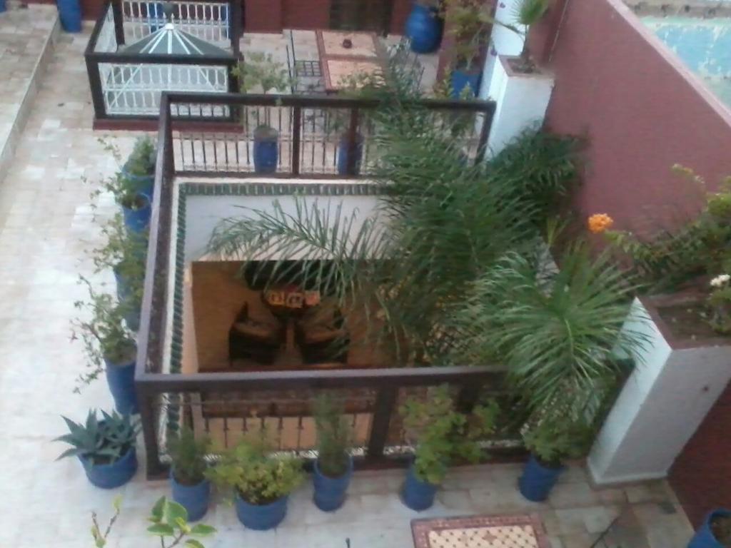 Riad Al Mansoura