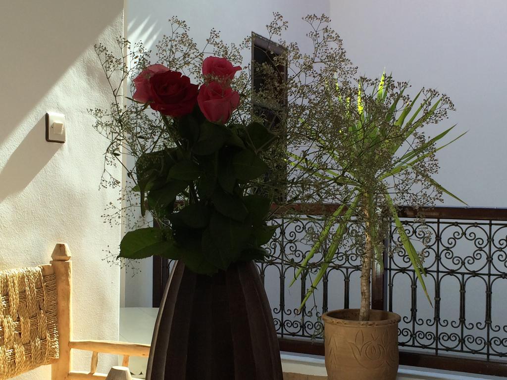 Dar Rosa Guest house Marrakesh