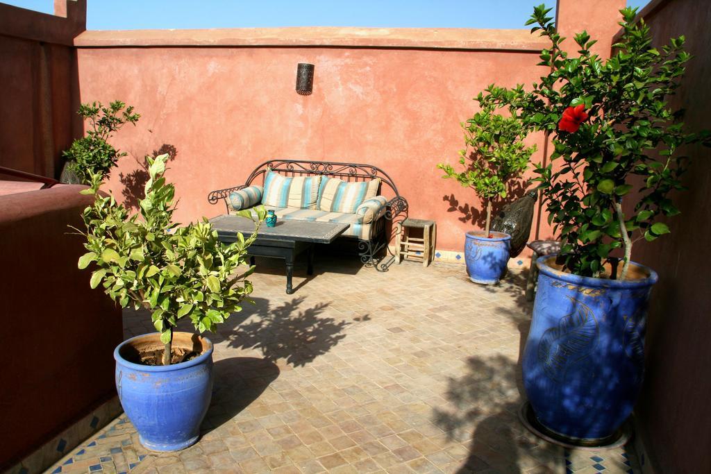 Tahar Oasis *