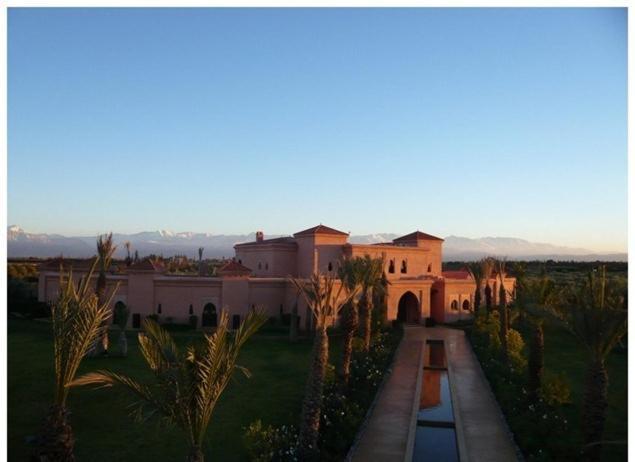 Margot * Marrakesh
