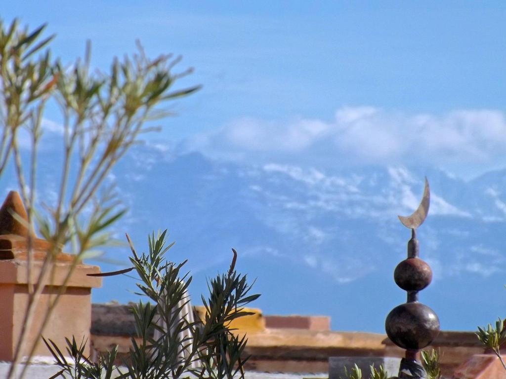 Dar Malak 3* Marrakesh