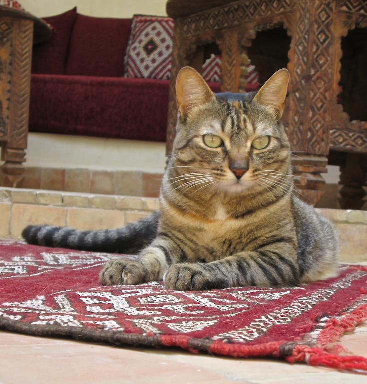 Guest house Ma'ab